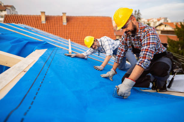 Best Chimney Flashing Repair  in Cape Coral, FL